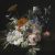 Rachel Ruysch: Late bloomer